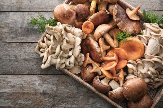 Mushrooms And Algae For Healthy Aging